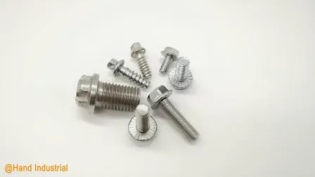 Ss 304 316 Edelstahl hochpräzise M5 M6 M8 Sechskant-Flanschschraube mit 12 Punkten